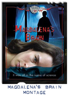 MagsBrainSlice